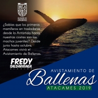 ACTUALIDAD MUNICIPAL MI&Eacute;RCOLES 05 DE JUNIO DEL 2019.