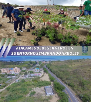 INFORMATIVO MUNICIPAL