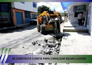 INFORMATIVO MUNICIPAL