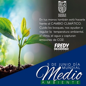 ACTUALIDAD MUNICIPAL MI&Eacute;RCOLES 05 DE JUNIO DEL 2019.