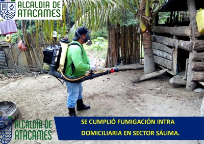 ACTUALIDAD MUNICIPAL MI&Eacute;RCOLES 25 DE SEPTIEMBRE DEL 2019.